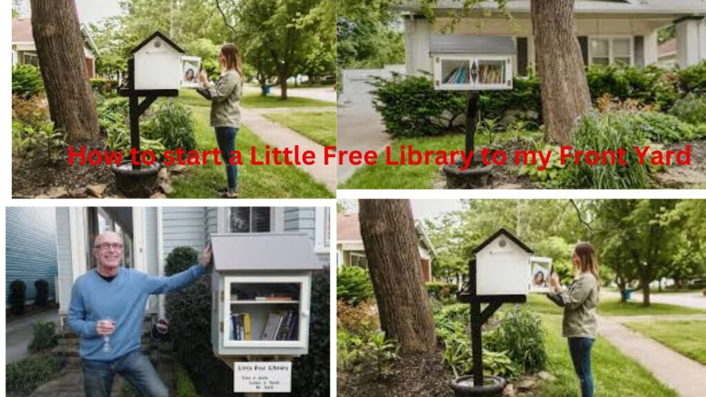 How to start a Little Free Library to my Front Yard