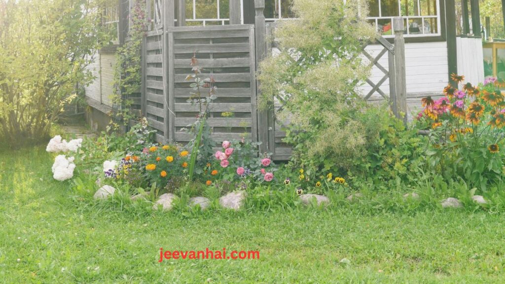 How to find the elements of cottage garden design Ideas (2024)