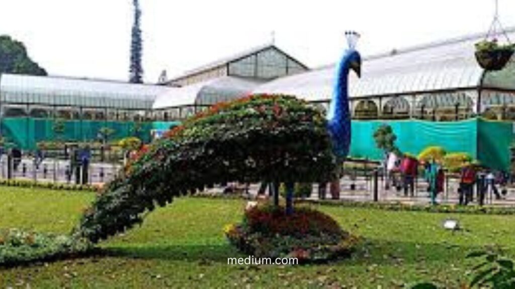 Complete Guide to Lalbagh Botanical Garden (2024)