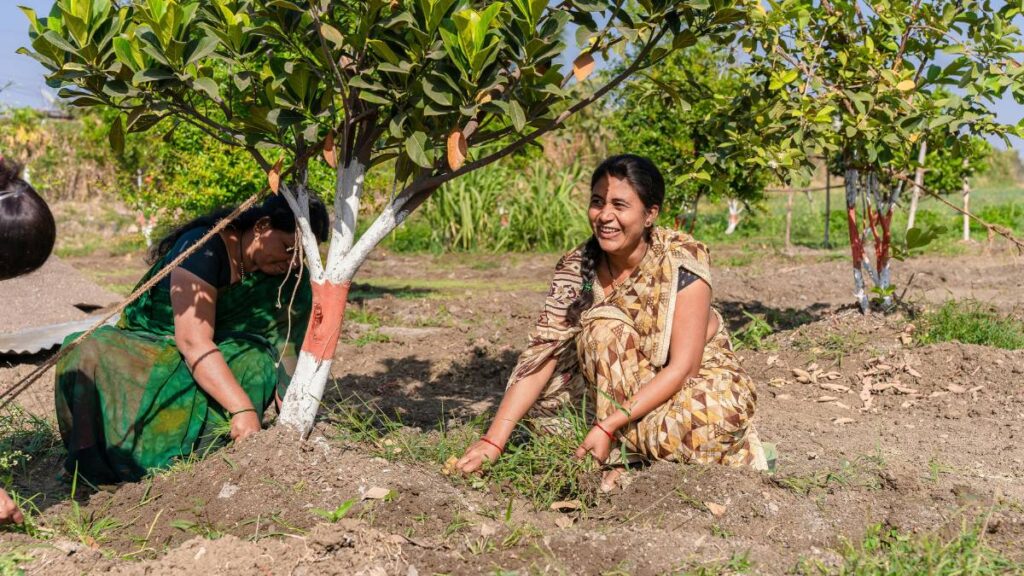 How to design a community garden in India : Best Guide