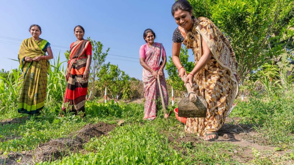 How to design a community garden in India : Best Guide