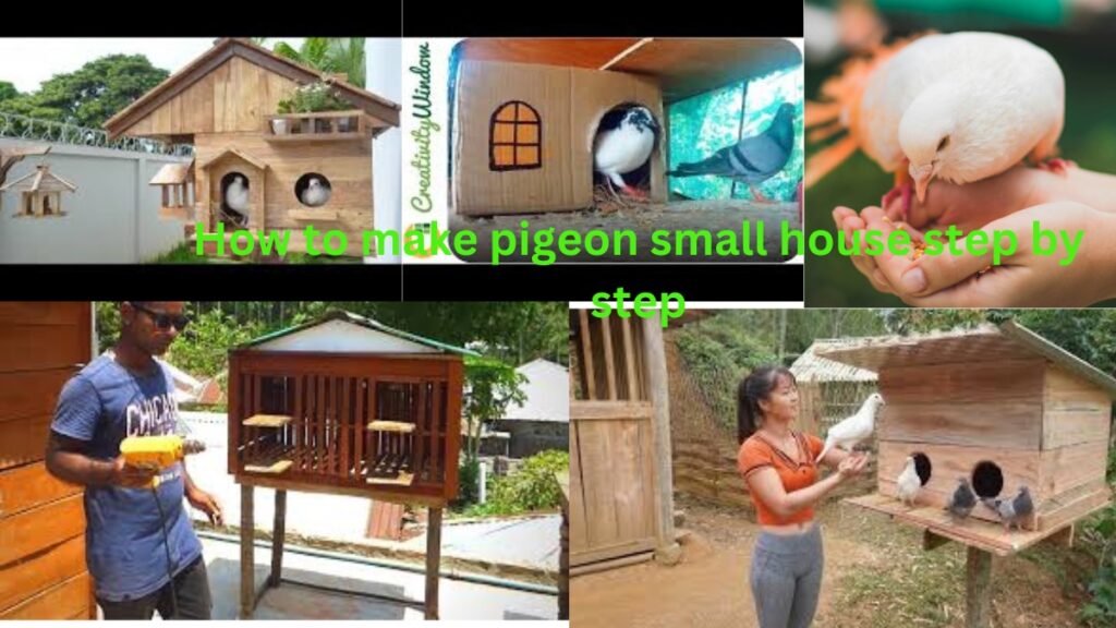 How to make pigeon small house step by step