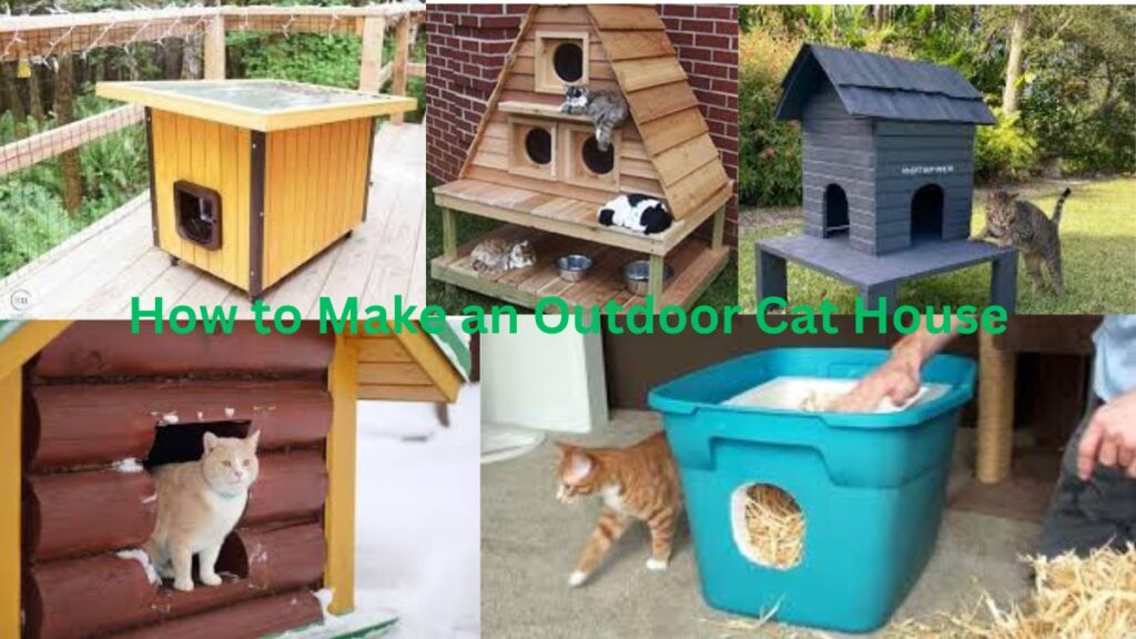 How to Make an Outdoor Cat House