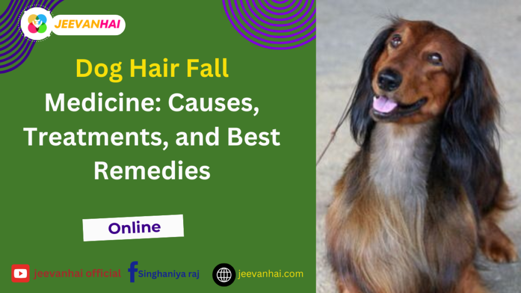 Dog Hair Fall Medicine: Causes, Treatments, and Best Remedies